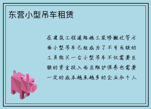 东营小型吊车租赁