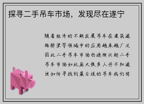 探寻二手吊车市场，发现尽在遂宁